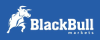 Blackbull_logo_100x40